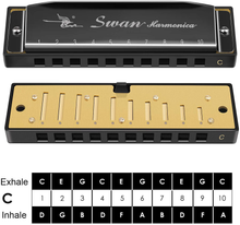 Load image into Gallery viewer, Blues Harmonica 10 Hole Harmonicas Key of C for Children/ Beginners Mouth Organ and Case